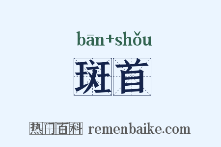 斑首是什么意思的图片